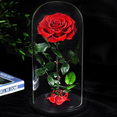 China Weddings Decoration Ammy Design Wedding Keepsake Customized Eternal Rose Preserved Flower Glass Dome Cover for sale