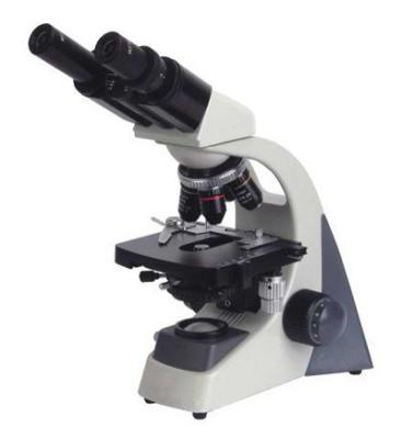 China Metal Biological Microscope Optical Trinocular Microscope (MS-20058) for sale