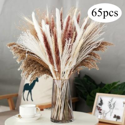 China Decorate Amazon hot sale reed pampas grass bouquet dried flower for decorative flowers and home decoration garlands for sale