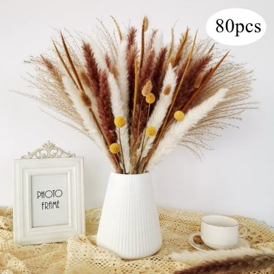 China Decorate Amazon Hot Sale Dried Natural Pampas Grass For Wedding Road Decoration Wedding Prundo Home Fluffy Phragmites Thatch Dried Flowers for sale