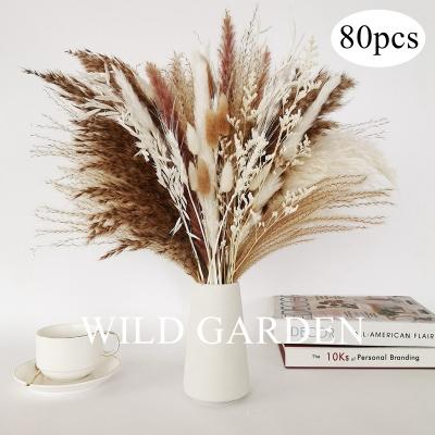 China Decorate Pampas Grass Fluffy Dry Flower Bunch Reed Flower Festival Christmas Ornaments Wedding Pack Real Natural Pampas Pampas for sale