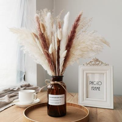 China Decorate Large Decorative Dried Flower 45cm Wedding Prundo Home Fluffy Phragmites Thatch Dry Flowers Natural Pampas Grass for sale