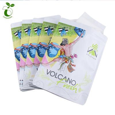 China Eco Friendly Resealable Customized Biodegradable Zipper Up Mylar Packaging Face Holder Packaging Biodegradable Kraft Paper Bag for sale