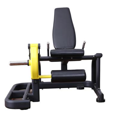 China 2022 Modern Gym Strength Equipment Setting Leg Extended Trainer For Muscle for sale