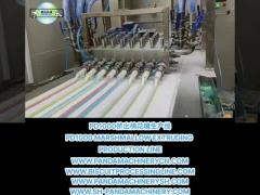 PD1000 MARSHMALLOW EXTRUDING PRODUCTION LINE MARSHMALLOW MAKING MACHINE EQUIPMENT MACHINERY