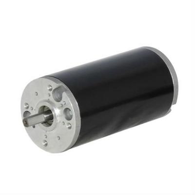 China IP44 60ZY Animal Game Road Driver (60mm Diameter) Brushed DC Motor 12V for sale