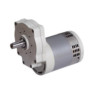 China Customer Needs 114ZY-134JB Floor Scrubber 24V DC Spur Gear Motor for sale