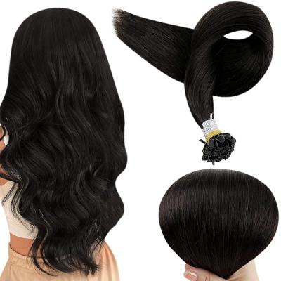 China Silky Straight Wave Full Shine #1B Natural Black Brazilian Human Hair Wholesale Supplier Hot Sale U-Tip Keratin Hair Extension for sale