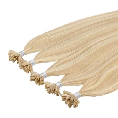 China Health Shine Cheap Blonde 100% Full Natural Keratin Highlight Virgin U Tip Hair Extensions for sale