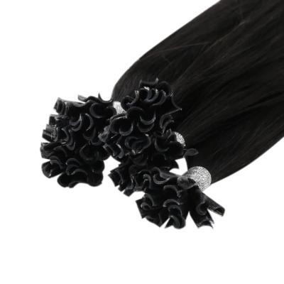 China Pure Virgin Hair Full Shine Natural Black Hot Sale Nail Tip Keratin Virgin U Tip Hair Extensions for sale