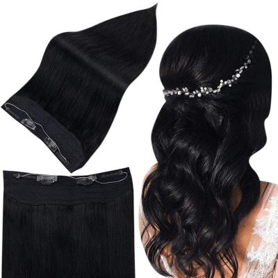 China Factory direct sale Jet Black #1 12-22 halo hair extension silky straight full wave shine silky straight human halo hair extension for sale