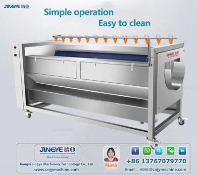 China Fruit And Vegetable Factory Supply Sweet Potatoes Ginger Brush Peeling N Washing Machine for sale