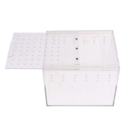 China Factory Direct Selling Acrylic Insect Cage Box Acrylic Feeding Container Viable 15 Years for sale