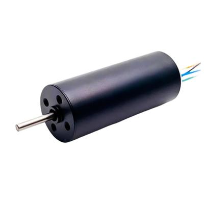 China 20mm Slotless BLDC Motor 12V to 36V 13W 20W 18880rpm Customizable Brushless DC Electric Motor for sale