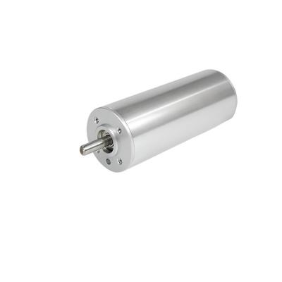 China 24mm Ironless DC Motor 12V 40W 14150rpm Customizable for Portable Electronics for sale