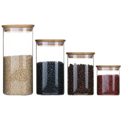 China Wholesale Sustainable Kitchen High Borosilicate Plant Jar Glass Jar for sale