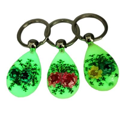 China Wholesale Cheap Promotion Gift Glow In Dark Luminous Dry Key Chain Flower Real Resin Key Chain Crafts for sale