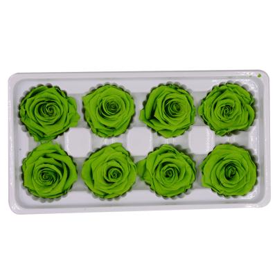 China Valentine's Gift FL1012 Durable Saving Roses Wholesale Real Preserved Rose Flower for sale