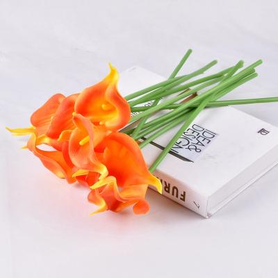 China Real Touch FL3402 Calla Lily Bulbs Tulip Real Touch Calla Lilies Wholesale Natural Artificial Mini Flower White Calla Lilies for sale