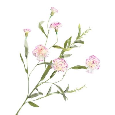 China Real Touch Real Touch Simulation High Quality Natural Silk Carnation Flower FL3601 Artificial Flower For Wedding Party Home Decoration for sale