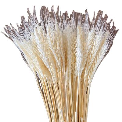 China DF1007 Natural Touch Dried Flower Wheat Basket For Household Flower Arrangement Or Open Flower for sale