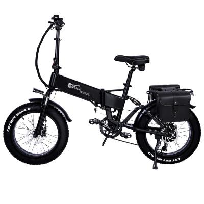 China Long Range 750W Battery City E-Bike Free Dismountable Popular Power Big Power Folding Aluminum Alloy Long Range 750W Frame Aluminum Alloy Expedition Electric Bikes for sale