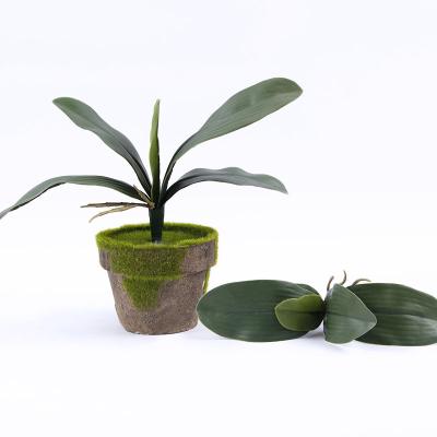 China Real Plastic Multiple Touch Indoor Soft Decoration Green Plant Vapor Plant Phalaenopsis Artificial Orchids Grow Leaves for sale