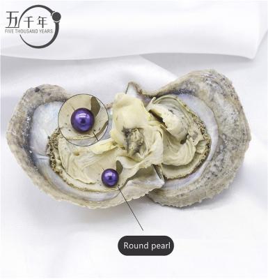 China Pearl wholesale 6-8mm AAAA+ grade pearl akoya oyster love colorful freshwater round freshwater oyster wish cultured saltwater oyster in vacuum packed for sale