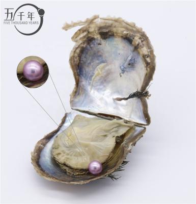 China Pearl wholesale 6-7mm AAAA+ grade pearl akoya oyster love colorful freshwater round freshwater oyster wish cultured saltwater oyster in vacuum packed for sale