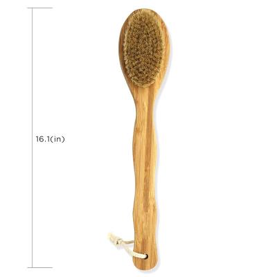 China Custom Logo Wooden Natural Soft Dry Long Handle Private Label Bamboo Shower Body Exfoliating Bath Brushes Wood With Handle for sale