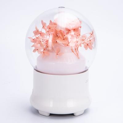 China Hot Sale USB Car Household Mini Humidifier Aroma Diffuser With Home Dual Use Portable Light for sale