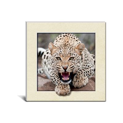 China 2019 New Europe Tiger 5D Lenticular Frameless Frameless Image for sale