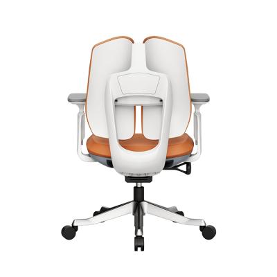 China Ergonomic Adjustable Office Chair (Height) Swivel Chair Support Office Furniture Chair For Office for sale