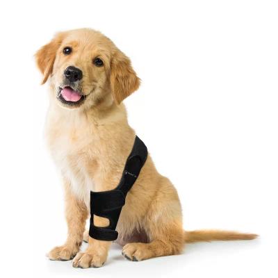 China Viable Pet Knee Pad Leg Protector Dog Injury Protector Hair Net Pet Supplies Joint Injury Protector Recovery Joint Sleeve Wrap for sale