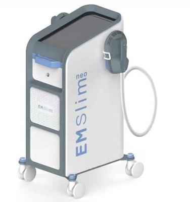 China Fitness Máquina de escultura electro EMS para adelgazar con 5 asas en venta