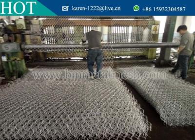 China 8x10 Hot Dipped Galvanized Gabion box / Stone Gabion Basket / Gabion Wire Mesh for sale