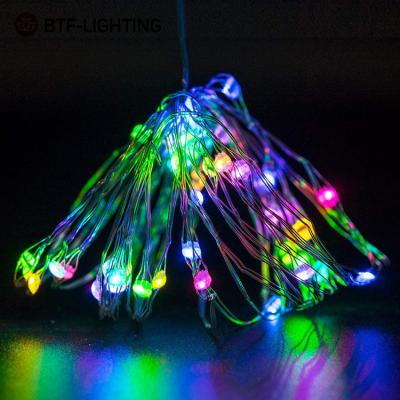 China Accessible Holiday Lighting Holiday Lighting Decoration 5m ws2812b Copper Wire Light For Christmas for sale