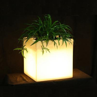 Китай Square PE Plastic Illuminated LED Ice Bucket / LED Flower Pot / Flower Planter продается