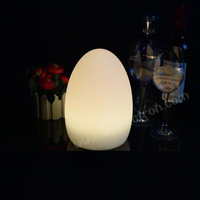 China plastic egg lamp /illuminated table lamp /led lighted egg lamp for sale