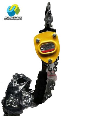 China Goods Lifting CE Approved Small Lever Hoist 250kg Chain Pulley Block for sale