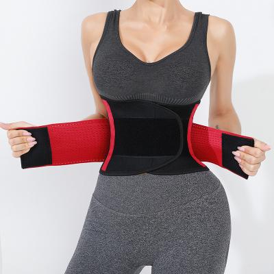 China Adult Bodybuilding Compression Support Lumbar Belt 5 Spring Waist Trainer Adjustable Tummy Sweat Trimmer Band for sale