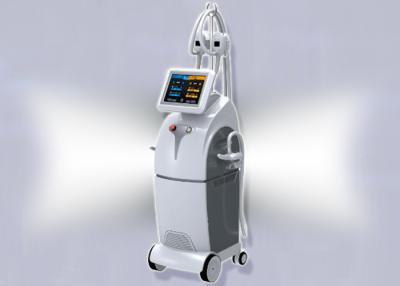 China 8 inch Fat Reduction Cryolipolysis Slimming Machine With 4 Handpiece Non Surgical for sale