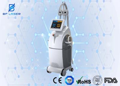 Cina Gelata grassa di Cryolipolysis che dimagrisce macchina, CE della macchina di riduzione delle celluliti approvato in vendita