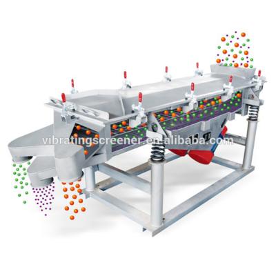 China Food Processing Food Grade Stainless Steel Sesame Shaker Sieve Machine for sale