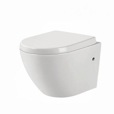 China New Design Customized Wall Hung Double-Flow Toilet Spray Sanitary Ware With High Quality Professional for sale