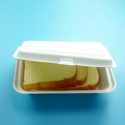 China Eco-Friendly Disposable Food Containers Sugarcane Bagasse Compostable Disposable Food Bowl for sale