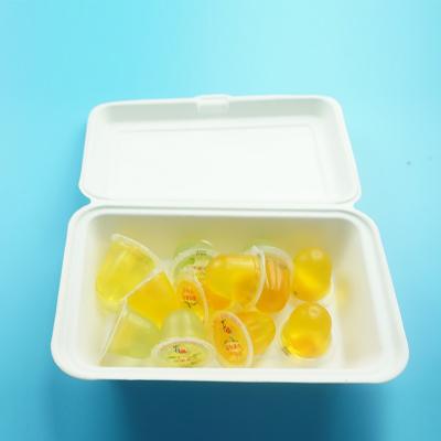 China Disposable Sugarcane Bagasse Disposable Food Containers For Microwave Dish Clamshell Paper Pulp Tray Tableware for sale