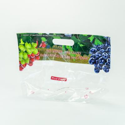 China Custom Logo Low Price Punch Hole Plastic Moisture Proof Stand Up Pouch Fruit Grape Bag With Slider Zipper for sale