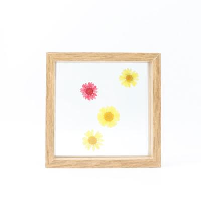 China Deco Flower Plant Double-Sided Clear Glass Table Frame Home Nordic Simple Dry Creative Frame Specimen Frame for sale