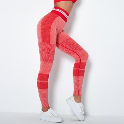 China OEM Factory Breathable Booty Lifting Seamless High Waisted Workout Yoga Gaiters Yoga Pants for sale